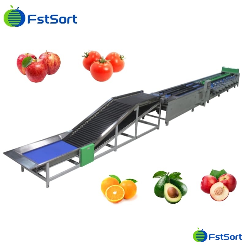 electronic weight sorting machine.jpg electronic weight sorting machine.jpg